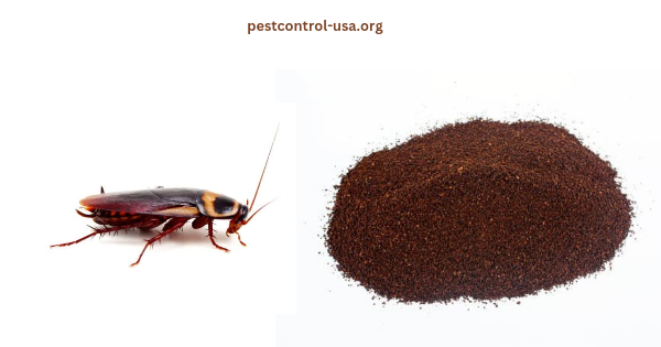Are Roaches Attracted to Coffee Grounds?