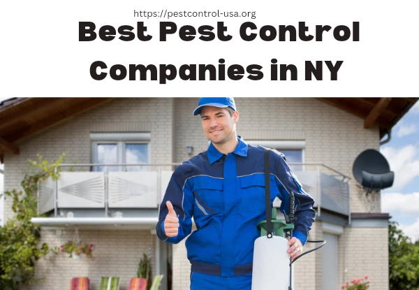 Best Pest Control Companies in NY