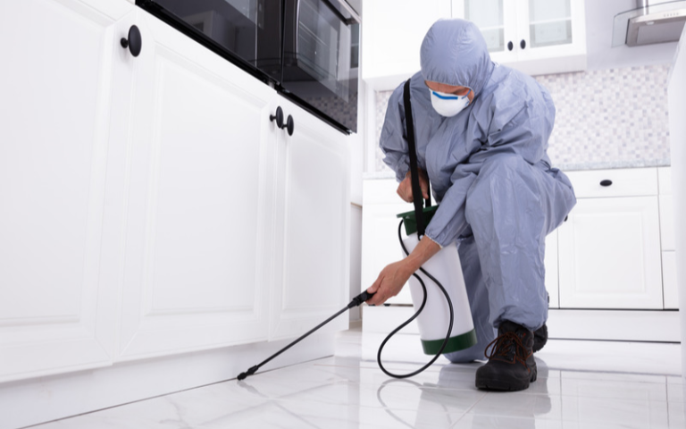What is The Common Methods of Pest Control?