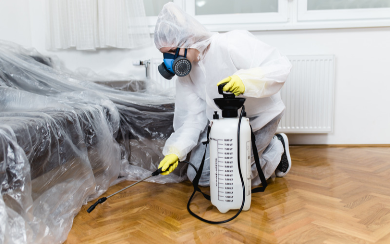 Is Pest Control Worth it?