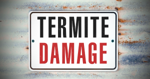 Termite damage 