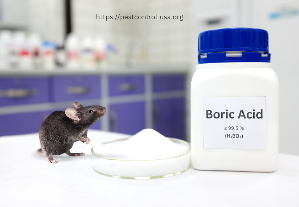 Will Boric Acid Kill Mice?