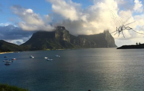 Are There Mosquitoes on Lord Howe Island?