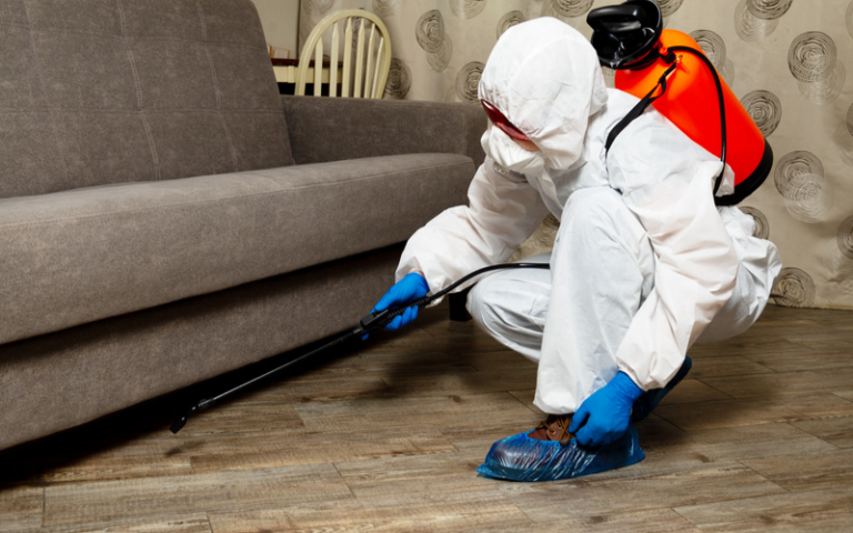 Where Does Pest Control Sprays in Apartments