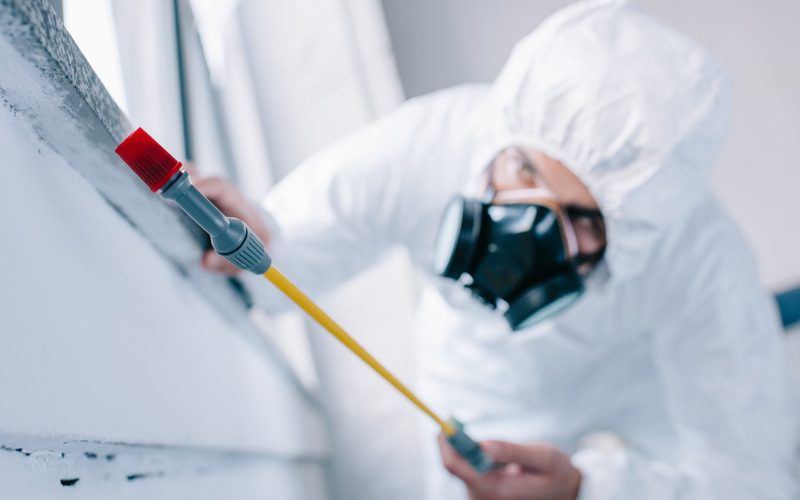 Where Does Pest Control Sprays in Apartments