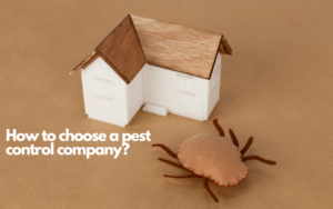 how to choose pest control Companies