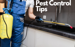 Pest control tips
