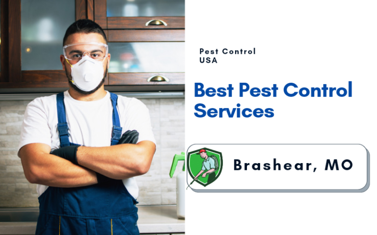 Best Pest Control Services in Brashear, MO